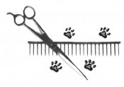 Just Four Paws Academy of Pet Styling